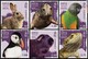 I sei francobolli celebrano il secolo e mezzo della Guernsey society for the prevention of cruelty to animals